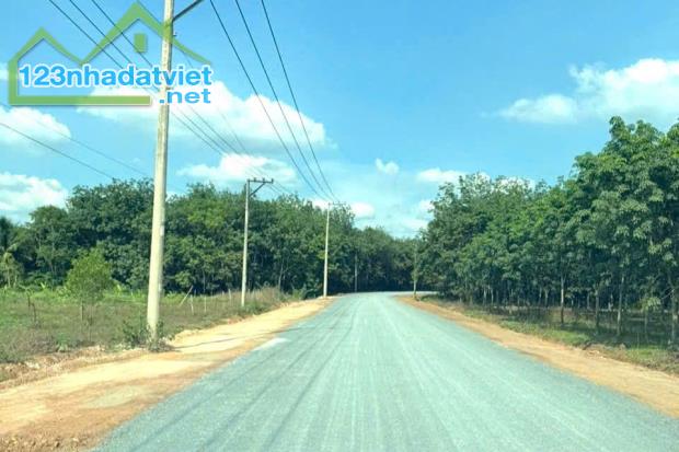 ĐÚNG 198 TRIỆU SỞ HỮU NGAY 1 LÔ ĐẤT THỔ CƯ GẦN 300M2 CÁCH QUỐC LỘ 500M - 2
