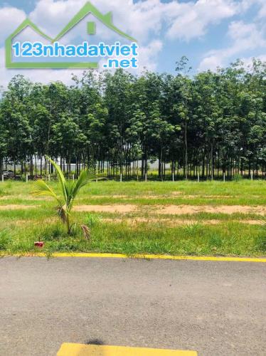 🌹🌹 hữu duyên cho ai sở hữu mảnh đất nền 163m2 chỉ 500tr ở Phước Thạnh Củ Chi - 3
