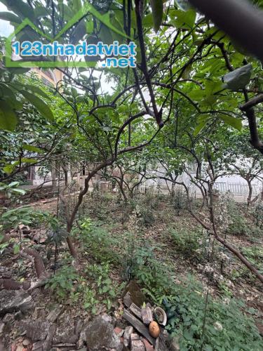 SIÊU HIẾM!!! THÔNG SỐ HOA HẬU - TIỆN ÍCH ĐẲNG CẤP - 163M - MẶT TIỀN 18.2M - PHỐ ÂU CƠ - - 1