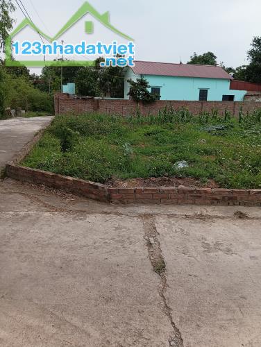 Bán Đất - Xã Tân Minh( Sóc Sơn )- 45 m2 - Full Thổ Cư - 1,1 Tỷ