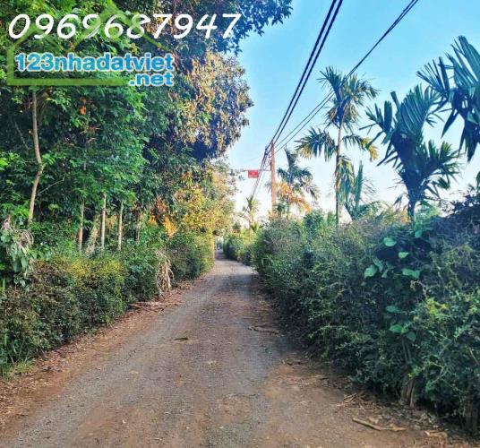 CƠ HỘI ĐẦU TƯ – 1.3HA GIÁ CHỈ 650 TRIỆU/SÀO! CUÔR ĐĂNG GIÁP HÒA THUẬN-BUÔN MATHUỘT - - 2