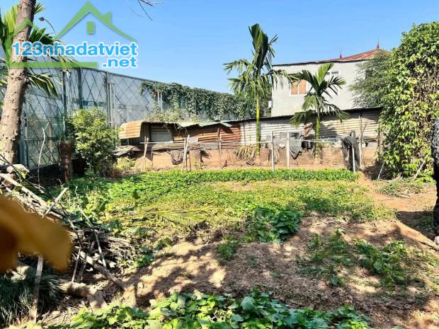 BÁN ĐẤT HỒ TÂY MẶT TIỀN 10M - Ô TÔ TẢI VÀO ĐẤT - VIEW HỒ QUẢNG AN. - 1
