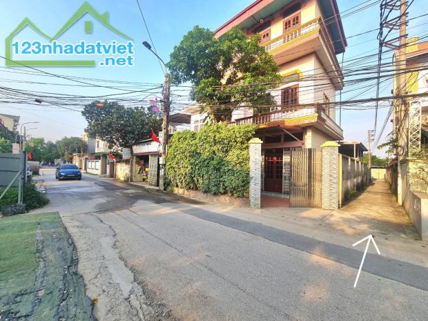 Bán đất Việt Hùng phù hợp đầu tư nhỉnh 4 tỷ - 3