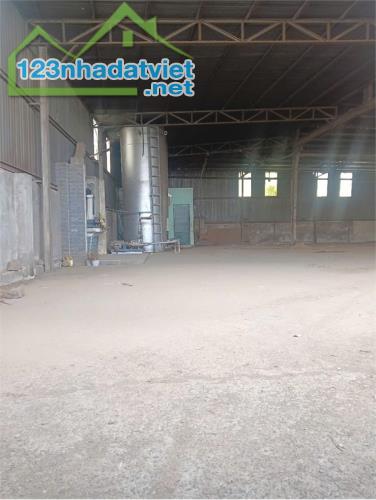 XT271 xưởng sản xuất cho thuê lâu dài phục vụ đa dạng ngành nghề vùng nguyên liệu lớn