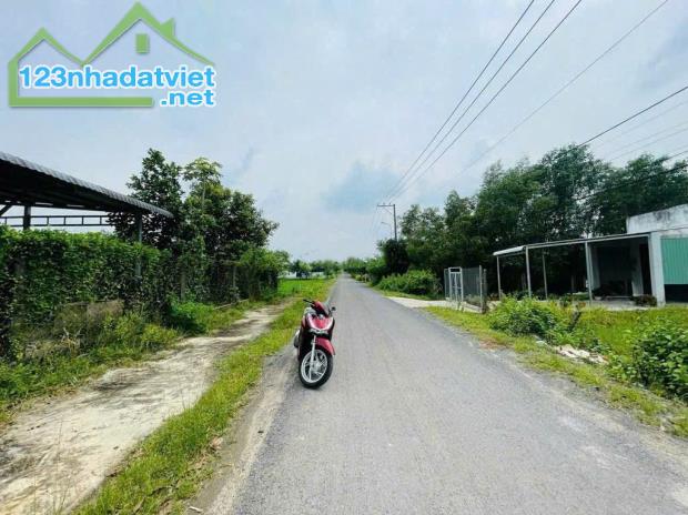 💢GIẢM GIÁ MẠNH !! BÁN NGAY LÔ ĐẤT MT ĐƯỜNG 213M2 PHƯỚC HIỆP, SHR 675TR - 1