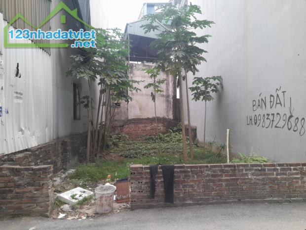 ĐẤT ĐỒNG MAI ĐƯỜNG THÔNG ÔTÔ ĐÔ CỬA HƠN 4TỶ - 2