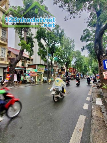 Mặt phố trung tâm quận Hai Bà Trưng DT 80m2x7T thang máy, vỉa hè rộng mặt tiền quyền lực - 3