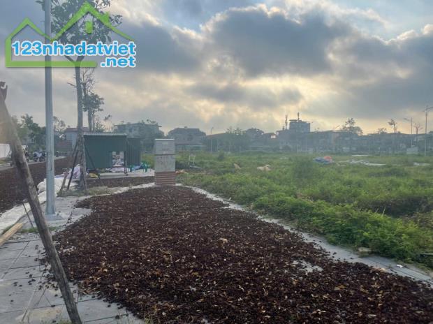 Cần bán lô đất đấu giá 87,5m² tại Thụy Lâm – Đông Anh - Siêu Đẹp - Siêu Rẻ - Đón Đầu Vin T - 1