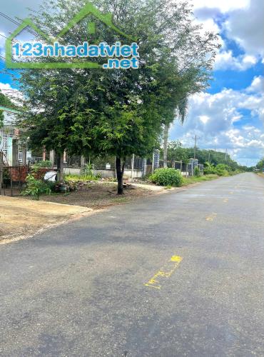 Chính Chủ Cần Bán Đất Mặt Tiền 32m Xây Trọ Đường DH509, Diện Tích 450m2 Thổ Cư, Giá 575tr - 1