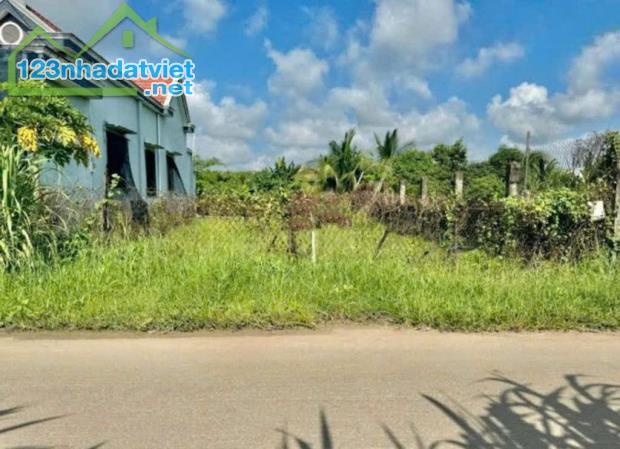 🔥SIÊU HOT !! BÁN GẤP LÔ ĐẤT ĐẸP MT ĐƯỜNG 223M2 THÁI MỸ, SHR GIÁ 685TR - 3