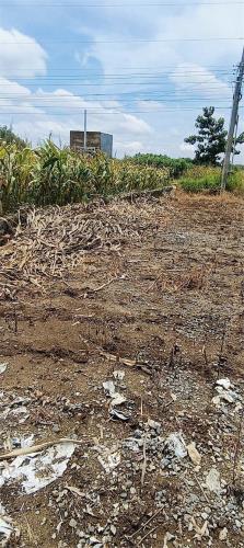 CHÍNH CHỦ CẦN BÁN LÔ ĐẤT ĐẸP TẠI PHÚ LỢI, ĐỊNH QUÁN, Đồng Nai – GIÁ TỐT, TIỀM NĂNG CAO! - 1