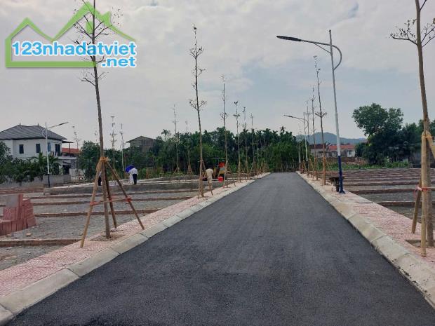 [SIÊU PHẨM ĐẤT THỔ CƯ – AN TIẾN, MỸ ĐỨC – VIEW VÀNH ĐAI 5 – NGAY CẠNH ĐẤT ĐẤU GIÁ] - 3