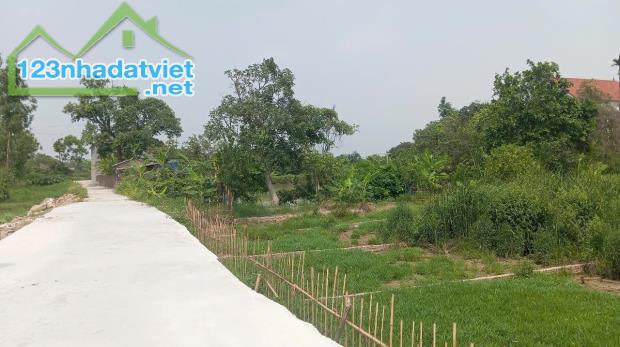 Bán đất Gia Bình, bắc ninh. 100m2 * mt 5m * 1,65 tỷ. ô tô đỗ, full thổ cư - 1