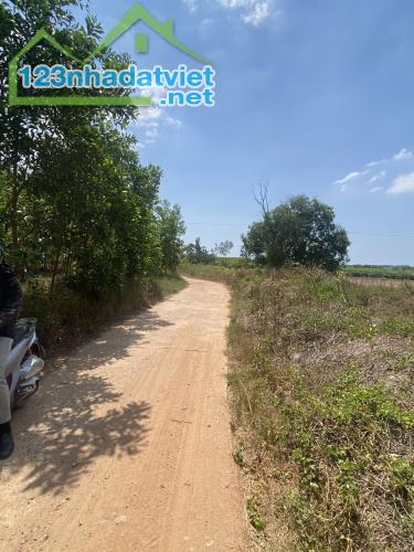 Bán 8 sào đất view Hồ Núi Đất Tân Tiến, Thị xã LaGi giá rẻ 430tr/ sào