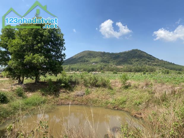 Bán 8 sào đất view Hồ Núi Đất Tân Tiến, Thị xã LaGi giá rẻ 430tr/ sào - 1