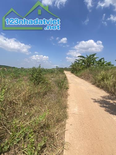 Bán 8 sào đất view Hồ Núi Đất Tân Tiến, Thị xã LaGi giá rẻ 430tr/ sào - 2