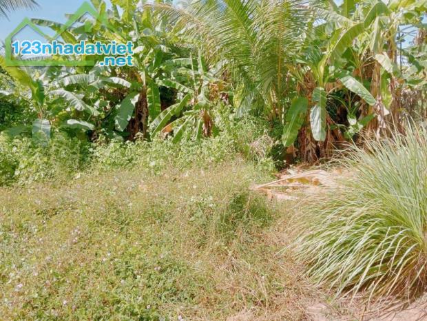Đất MT 413m², Nở hậu, Đ.6m – Nguyễn Chí Thanh TN - 2