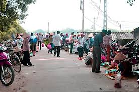 BÁN 7 LÔ 35X40=1400M2 SỔ RIÊNG THỔ CƯ, SÁT CHỢ, CẠNH KCN CÔNG NHÂN ĐÔNG GIÁ 290TR - 3