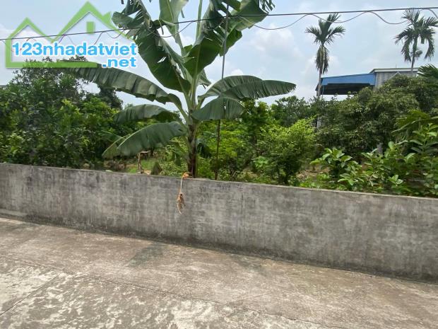 Cần bán đất xã Thanh Hồng, Thanh Hà – Mặt tiền 10m, đất full thổ cư, đường lớn chỉ 9 tỷ. T - 3