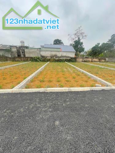 Bán lô đất ngay sát khu công nghiệp nhuận trạch giá chỉ nhỉnh tỷ - 3