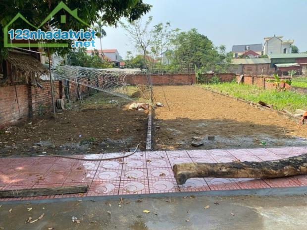 Bán Gấp Lô Đất Đẹp 135m² – 100m² Thổ Cư, Gần Nhà Máy In Tiền, Đường 7m, Giá Tốt! - 1