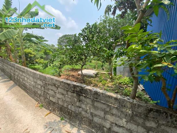 🔥 Bán đất mặt đường trục chính xã Thanh Hồng 150m ô tô chỉ 4.5 tỷ. - 3