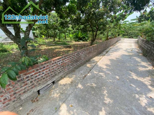 🔥 Bán đất mặt đường trục chính xã Thanh Hồng 150m ô tô chỉ 4.5 tỷ. - 5