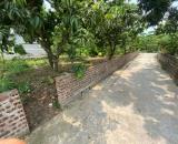 CHÍNH CHỦ BÁN ĐẤT 500M² TẠI XÃ THANH HỒNG – GẦN TRƯỜNG, CHỢ, CÔNG TY 12 TỶ.