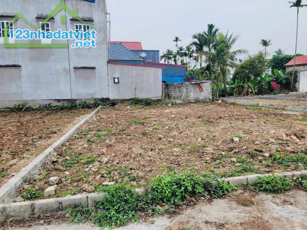 Bán đất Tân Phong - Kiến Thụy - Hải Phòng - 4