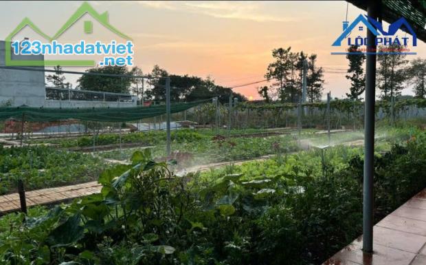 Bán đất full thổ cư phường An Hòa TP Biên Hòa 125m² giá chỉ 1,72 tỷ - 4