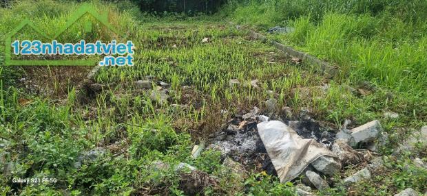 Bán đất Ninh Sở Thường Tín 87,2m² – cách trục chính 100m, giá chỉ từ 4x triệu/m² - 1