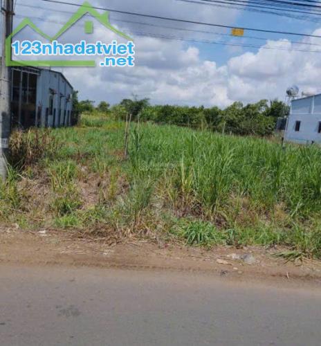 CHÍNH CHỦ BÁN ĐẤT MẶT TIỀN Nhựa Sân Bay LONG THÀNH - Vị Trí Tai : Cẩm Đường -  Long Thành - 1