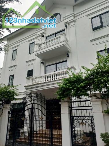 Bán Biệt thự KDT Văn Khê, quận Hà Đông, 165m, Mt 10m, 4 tầng chỉ 30 tỷ - 1