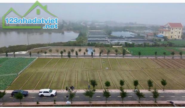 Chính chủ bán đất nền ven biển Quất Lâm - 1
