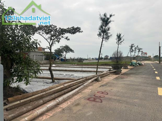 Chính chủ bán đất nền ven biển Quất Lâm - 2