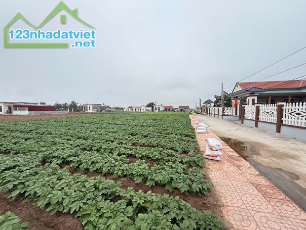 Chính chủ bán đất nền ven biển Quất Lâm - 4
