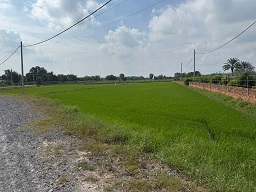 Bán đất nông nghiệp giá tốt – vị trí đẹp – mặt tiền xe tải - 2