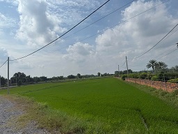 Bán đất nông nghiệp giá tốt – vị trí đẹp – mặt tiền xe tải