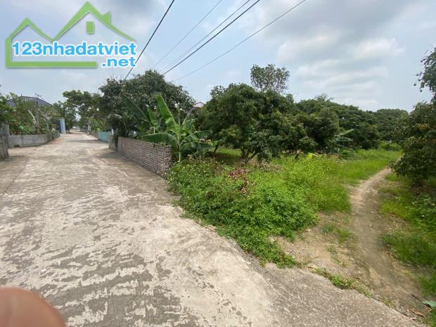 Bán lô đất mặt đường trục chính xã Thanh Hồng – 230m² full thổ cư, giá chỉ 6,5 tỷ bán đất - 4