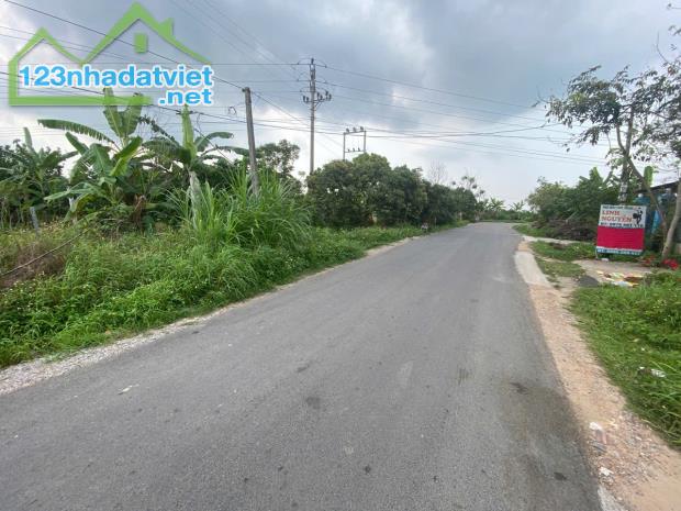 Bán lô đất mặt đường trục chính xã Thanh Hồng – 230m² full thổ cư, giá chỉ 6,5 tỷ bán đất - 3