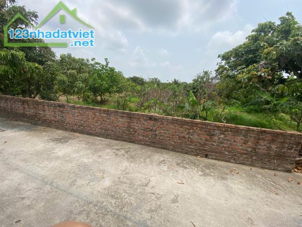Bán lô đất mặt đường trục chính xã Thanh Hồng – 230m² full thổ cư, giá chỉ 6,5 tỷ bán đất - 2
