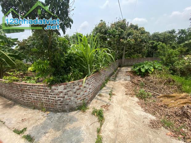 Bán lô đất mặt đường trục chính xã Thanh Hồng – 230m² full thổ cư, giá chỉ 6,5 tỷ bán đất - 1