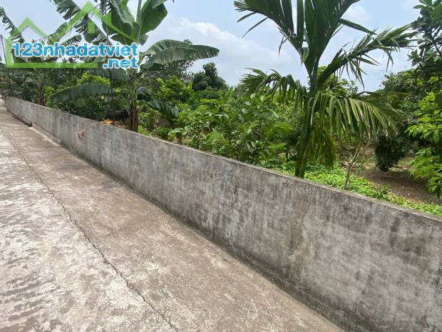 Bán lô đất mặt đường trục chính xã Thanh Hồng – 230m² full thổ cư, giá chỉ 6,5 tỷ bán đất