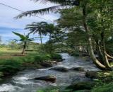 La Ngà gọi mời đất vườn nghỉ dưỡng view hồ Trị An, sông La Ngà thơ mộng