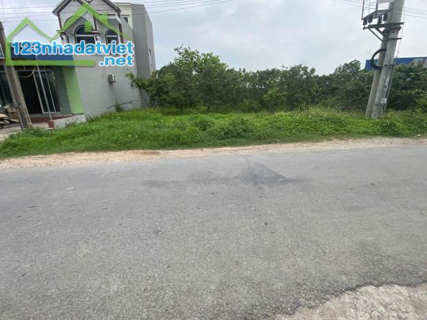 bán đất xã Thanh Hồng, Thanh Hà đường ô tô tránh 330m x 10m chỉ 10,2 tỷ. – Sổ đỏ sang tên - 4