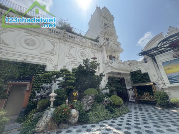 Siêu biệt thự mặt tiền Trần Văn Kiểu, Quận 6, 1200m2 * 3 tầng,  full thổ cư, Chủ tặng - 3