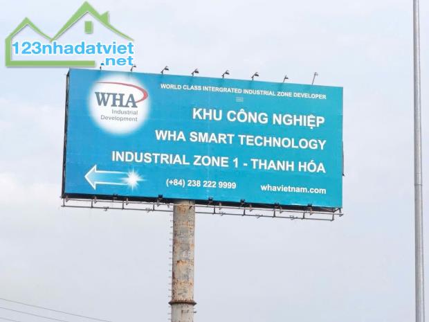 ĐẤT ĐẸP – GIÁ TỐT - CẦN BÁN NHANH LÔ lk 06 Mặt Bằng 07  Xã Hoằng Cát ,Huyện Hoằng Hóa, - 2