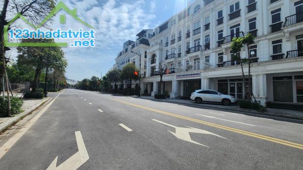 LOUIS CITY ĐẠI MỖ TRỤC CHÍNH KĐT DT 120M MT 6M - 2