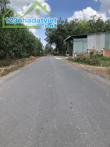 Đất Thổ Cư Giá Rẻ Sát KCN Giang Điền – 115m², Chỉ 1.1 Tỷ – Ngân Hàng Hỗ Trợ 70%
