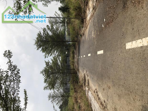 Đất Đẹp Sông Trầu – Gần Nguyễn Hoàng – Đường Nhựa 6m – Giá Chỉ 950 Triệu